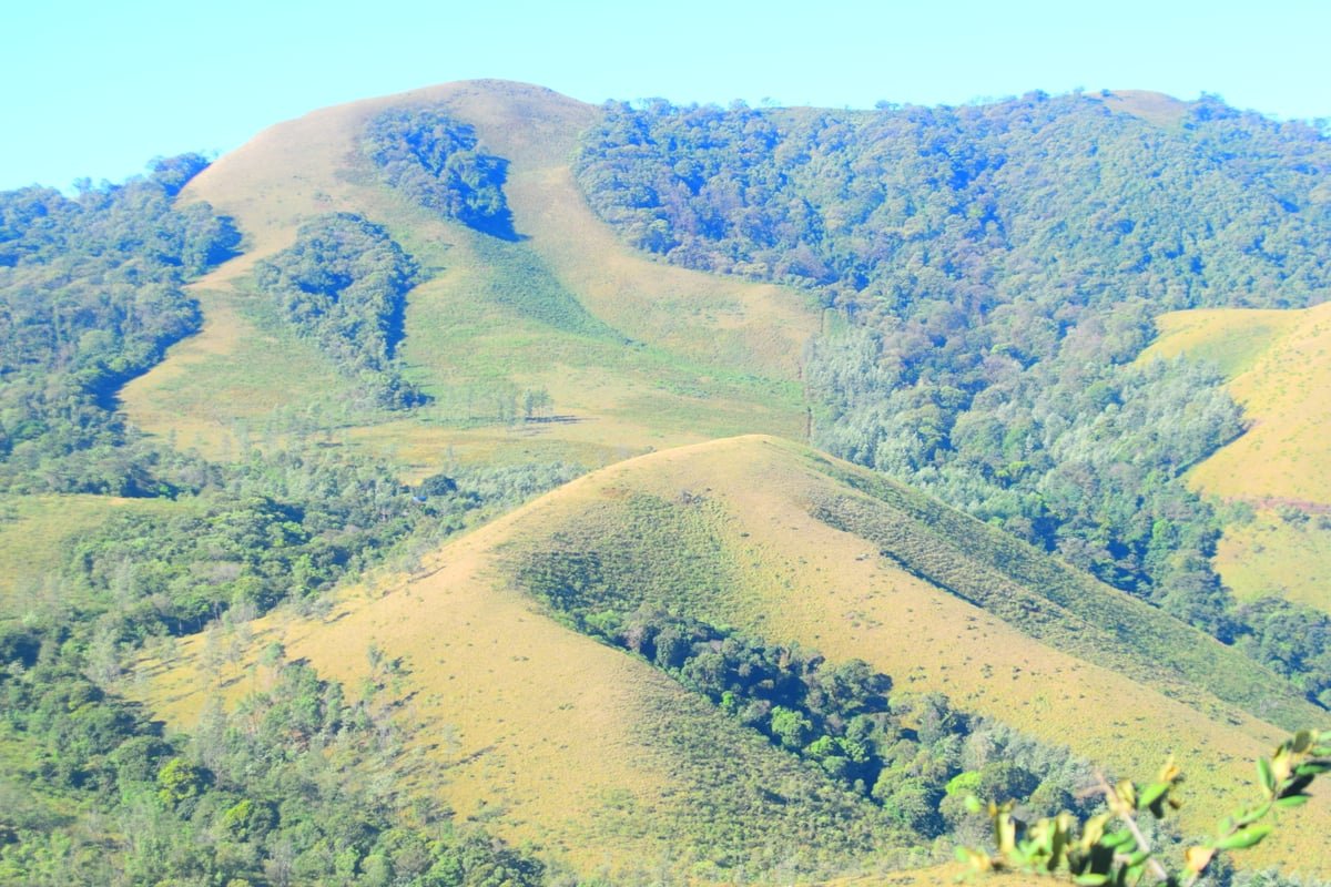 Majestic view of Mullayanagiri peak in Chikmagalur