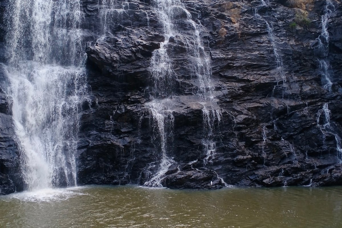Scenic Abbey Falls nestled amidst dense green rainforest in Coorg